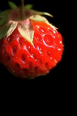 Image showing strawberry