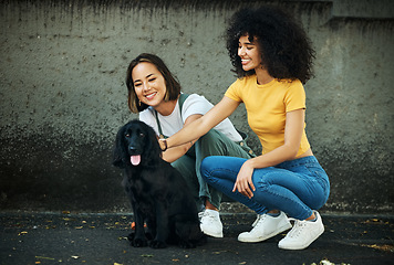 Image showing Love, lgbt and a couple walking their dog together outdoor in the city for training or exercise. Lesbian, smile and a happy woman with her girlfriend to teach their pet cocker spaniel on a leash