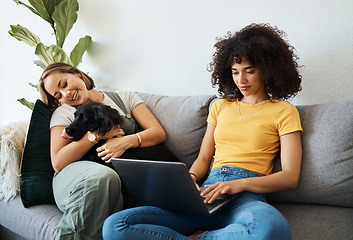 Image showing Dog, laptop or lesbian couple in home to relax together in healthy relationship or love connection. Lgbtq, online or gay women with a pet animal to hug or bond on living room sofa for remote work