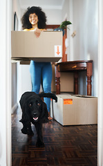 Image showing New house, moving in and woman with box, dog and smile in real estate, property or dream home. Mortgage, animal and lady homeowner with excited puppy in pet friendly apartment or investment