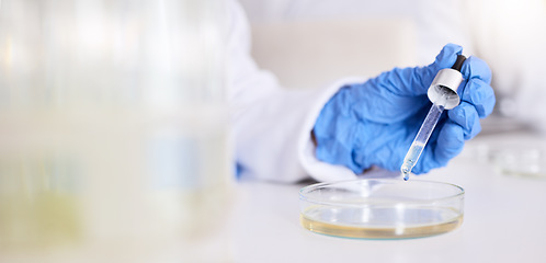 Image showing Hand, petri dish and liquid, chemical and pipette in laboratory with scientist person and experiment. Liquid solution, glass and test for medical research, science study and chemistry with closeup