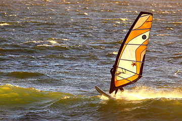 Image showing Wind surfers