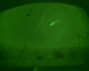 Image showing Night, military inspection and vision of a helicopter for army travel, pilot transport or emergency rescue on field. Dark, search and transportation on the battlefield for aviation and surveillance