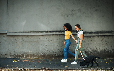 Image showing Walking, women and lesbian couple with dog in city, street or holding hands with pet on lead and wall, mockup or urban space. Lgbt, people and journey with animal for exercise, wellness or happiness