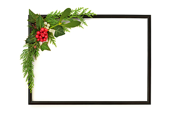 Image showing Christmas Background Traditional Winter Flora Frame