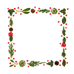 Image showing Christmas Winter Flora and Holly Berry Frame 