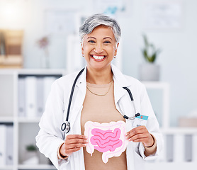 Image showing Portrait, doctor and mature woman with intestine model in hospital clinic. Face, gastroenterology and medical professional smile for healthcare of gut, wellness of digestive system and colon anatomy