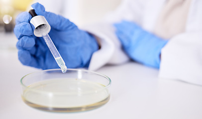 Image showing Petri dish, hand and pipette for medical science research, medicine pharmacy or dna engineering with ppe in laboratory. Person, scientist and equipment in healthcare test or future vaccine innovation