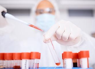 Image showing Blood, dropper or hands of scientist in a lab for science with innovation, dna and rna research. Hazmat, analysis closeup or expert working on liquid for chemistry, future or breakthrough cure