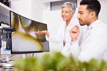 Image showing Teamwork, screen or scientists with plant for research, lab test or innovation for agriculture study. Science, mentor or leaf on monitor for natural herbal medicine, pharma or internship education