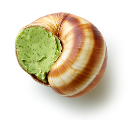 Image showing escargot snail stuffed with garlic and parsley butter