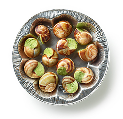 Image showing escargot snail stuffed with garlic and parsley butter