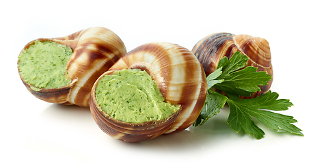 Image showing escargot snail filled with garlic and parsley butter