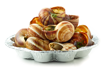 Image showing plate of baked escargot snails filled with parsley and garlic bu