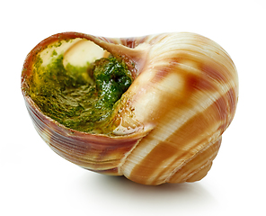 Image showing escargot snail stuffed with garlic and parsley butter