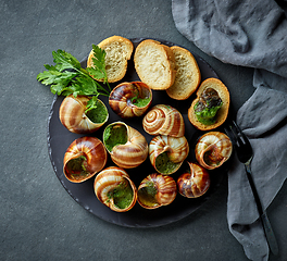 Image showing plate of baked escargot snails filled with parsley and garlic bu