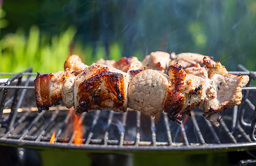 Image showing grilled pork skewers