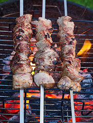 Image showing grilled marinated pork meat skewers