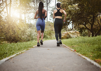 Image showing Running team, fitness and women in nature park with cardio, athlete and support for sports and health. Exercise friends, healthy and runner club, back and training for race outdoor with workout