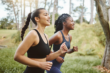 Image showing Running team, fitness and women in forest with cardio, athlete and support for sports and health. Exercise friends, diversity and runner club, health and training for race outdoor with workout