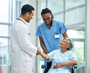 Image showing Handshake, hospital and surgery doctor with patient or wheelchair user for thank you, medical or consulting. Support, physiotherapy and rehabilitation with people in clinic for healthcare and meeting