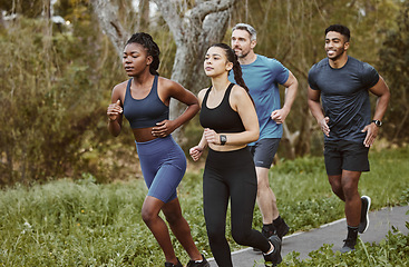 Image showing Runner group, men and women in park, training and outdoor exercise for health, sport or performance. Teamwork, running and workout for fitness, wellness and diversity in summer, freedom or nature