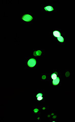 Image showing Bokeh, green dots and lights on black background with pattern, texture and mockup with cosmic aesthetic. Night lighting, sparkle particles and glow on dark wallpaper with space, color shine and flare
