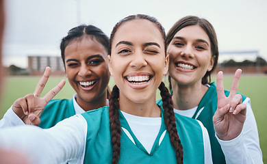 Image showing Sports selfie, girl team and peace sign on field for memory, competition and portrait for fitness. Women group, photography and wink on social network with emoji, v icon and diversity for hockey game