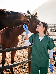 Image showing Vet, ranch and doctor with care for horse for medical examination, research and health check. Healthcare, animal care and happy woman nurse on farm for inspection, wellness and veterinary treatment