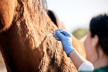 Image showing Vet, doctor and woman with injection for horse for medical examination, animal care and health check. Healthcare, needle and person on farm for inspection, wellness and veterinary treatment on ranch