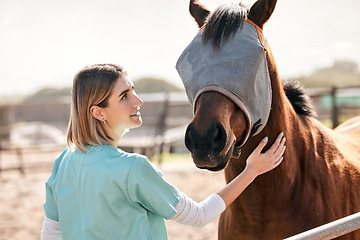 Image showing Vet, doctor and woman with horse on ranch for medical examination, research and health check. Healthcare, animal care and happy person on farm for inspection, wellness and veterinary treatment