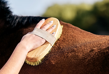 Image showing Horse, cleaning and person with brush on ranch for animal care, farm pet and grooming in countryside. Farming, fur and hands with stallion for brushing mane for wellness, healthy livestock or hygiene