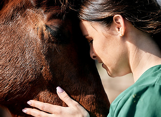 Image showing Pet, doctor and woman with care for horse for medical examination, research and health check. Healthcare, nurse and happy person on farm for inspection, wellness and veterinary treatment on ranch