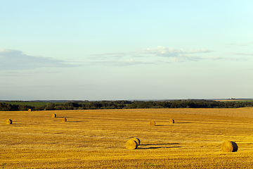 Image showing haystacks with straw