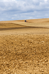 Image showing an agricultural field