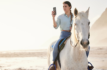 Image showing Horse riding, phone and woman on beach with pet for travel using social media, website and web for chatting. Texting, picture and person or rider with animal on vacation or holiday at sunrise