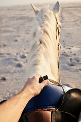 Image showing Horse riding, beach and hand of person with animal for travel on holiday or vacation on an island with farm pet in nature. Getaway, trip and rider or tourist on tropical location, sea or ocean