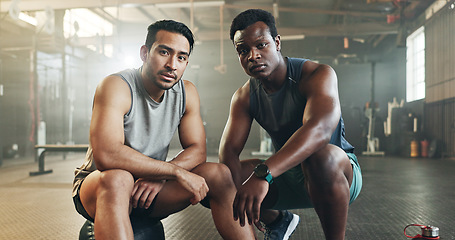 Image showing Serious man, friends and fitness in sports workout, exercise or bodybuilder training together at gym. Portrait of active and muscular people in teamwork, partnership or coaching at indoor health club