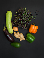 Image showing Micro greens sprouts