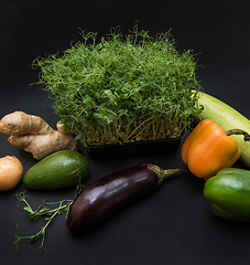 Image showing Micro greens sprouts