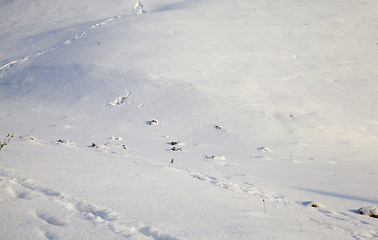 Image showing fresh snow surface