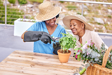 Image showing Senior woman, gardening and nurse help in home patio with support, care and plant. Healthcare, retirement and nursing outdoor with happy elderly female person with a smile from basil herb wellness