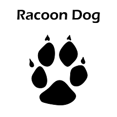 Image showing Racoon Dog Footprint