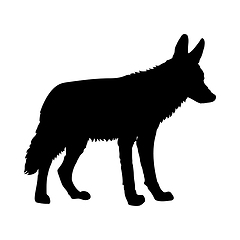 Image showing Coyote Silhouette