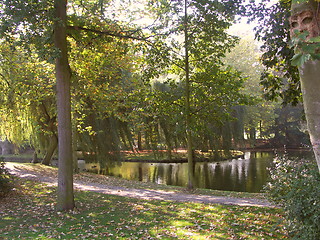 Image showing Park