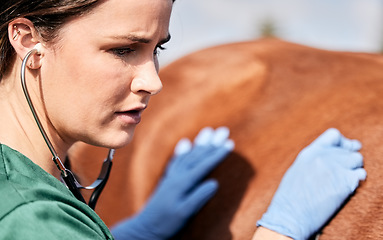 Image showing Vet, stethoscope and horse with wellness, healthcare and support with animal in countryside. Woman helping with heart rate and monitoring outdoor with stress and anxiety from veterinarian inspection