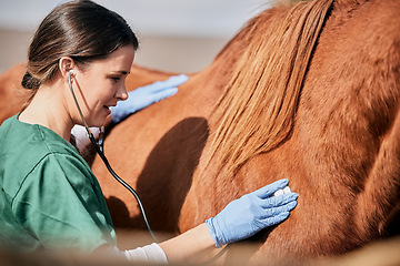 Image showing Woman vet, stethoscope and horse farm with wellness, healthcare and support with animal in countryside. Nurse, trust and helping with heart rate and monitoring outdoor with a smile from nursing