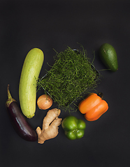 Image showing Micro greens sprouts