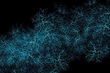 Image showing Graphics, background and blue veins for blood system, illustration or design isolated in studio. Capillary, black backdrop and varices for human anatomy, fractal texture or abstract glow of wallpaper