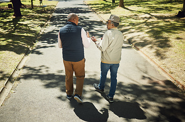 Image showing Senior, friends walking and talking in park, nature and outdoor in retirement with support and communication. Elderly, men and behind people on path in New York with conversation and community